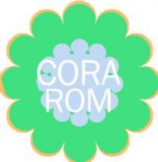 CORA ROM CLEAN SRL