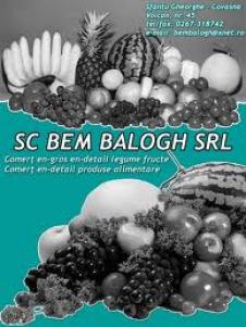 BEM BALOGH SRL