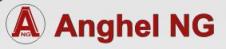 ANGHEL N.G. SRL