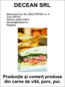 DECEAN SRL