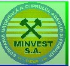 COMPANIA NATIONALA A CUPRULUI AURULUI SI FIERULUI MINVEST SA