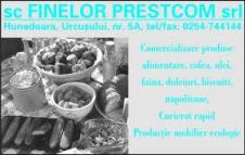 FINELOR PRESTCOM SRL