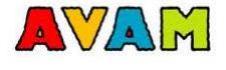 A.V.A.M. SRL