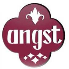 ANGST RO SA