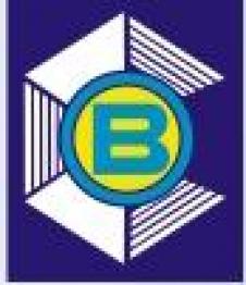 BRACO INDUSTRIAL SRL