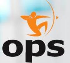 OPEN PUBLIC SERVICE SRL