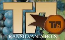 TRANSILVANIA BOIS SRL
