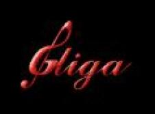 GLIGA INSTRUMENTE MUZICALE SA