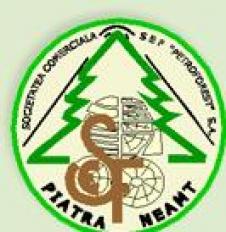 S E F PETROFOREST SA